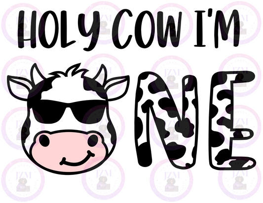 Holy Cow I'm One (Boy)