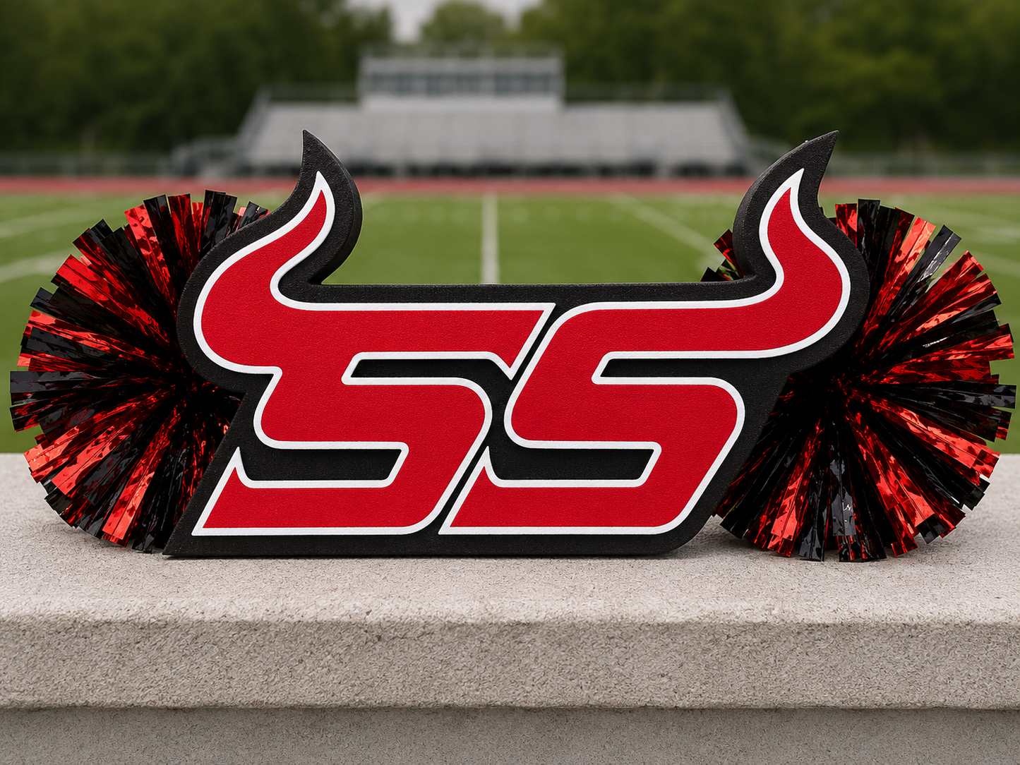 Custom Made Spirit Cheer Stick/Fan